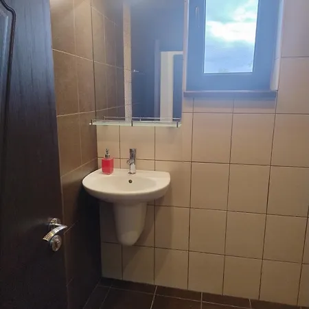 акация *
