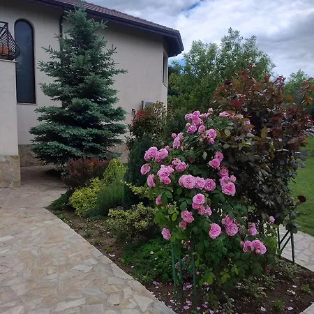 Guest house акация